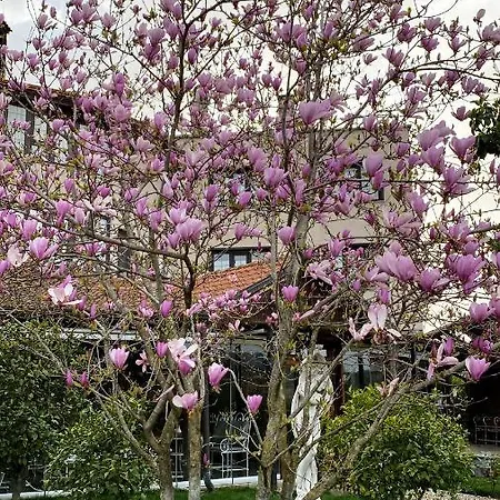 منتجع Park Ashik